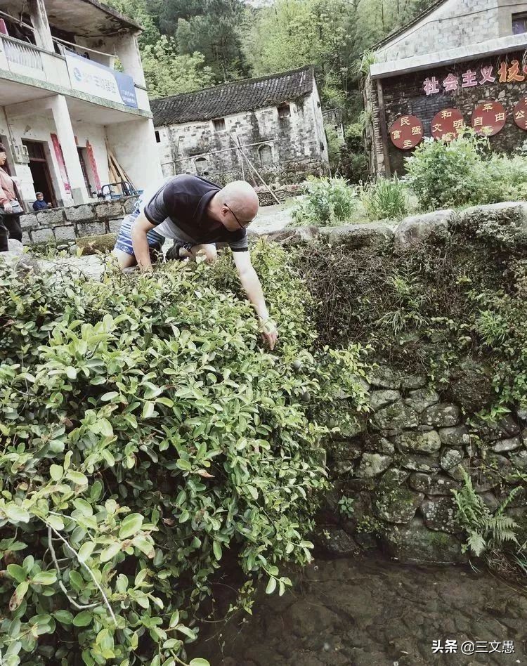 当角们走近东屏|浙江台州三门县雨中漫步游记