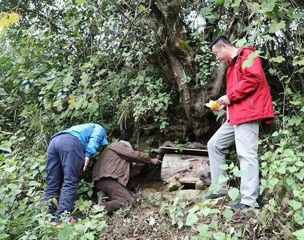蜂巢蜜长虫是什么原因,野生蜂巢蜜有蜂蜡吗