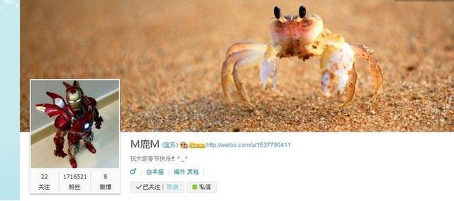 哪些明星喜欢钢铁侠,鹿晗都喜欢漫威哪个英雄