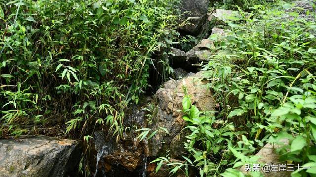 东莞水濂山景点介绍,东莞水濂山公园游玩攻略