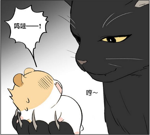 仓鼠的跑步速度有多快,小仓鼠跑步有多快