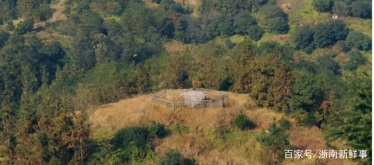 瑞安也有神秘巨石群！它有着精美绝伦的艺术价值