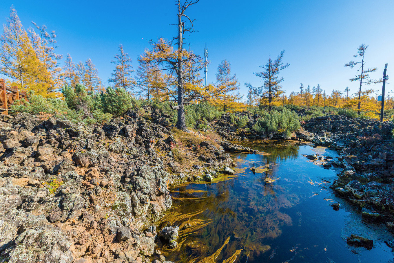 哈尔滨满洲里自驾路线,哈尔滨满洲里自驾视频
