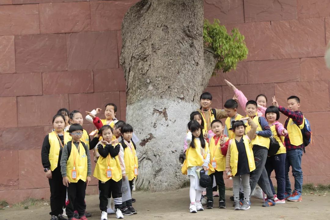 专业美院美术培训学校,高端美术特长生培训学校