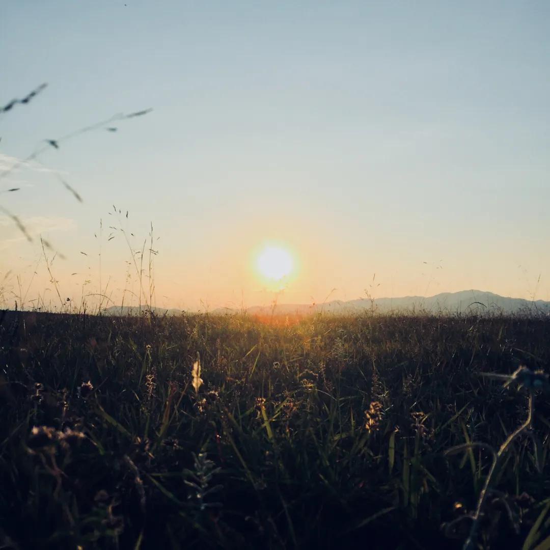 为什么，我一定要劝你来寻甸