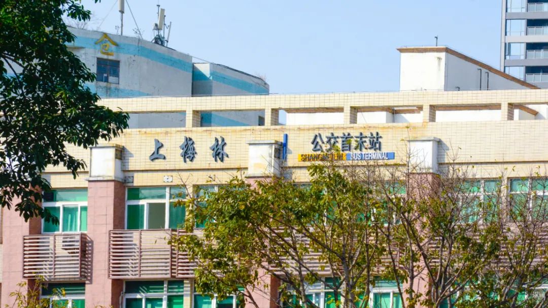 上海梅林有多厉害,上梅林有什么好处