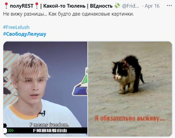 笑死,“最惨打工人”利路修红回俄罗斯!数万俄网友求中国粉丝放人