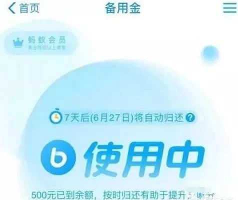 支付宝备用金最近怎么突然没有了,支付宝备用金怎么才能借到