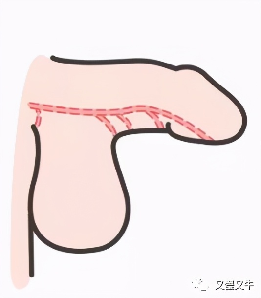 阳光男孩想干的事,阳光男孩求爱