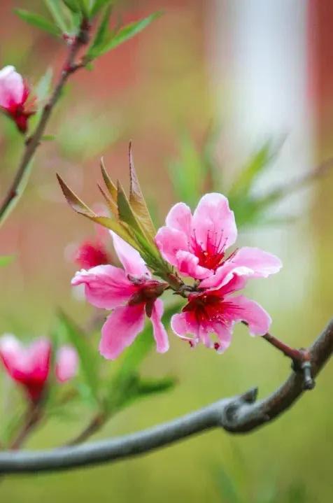 潍坊理工学院值得去吗,点评潍坊理工学院