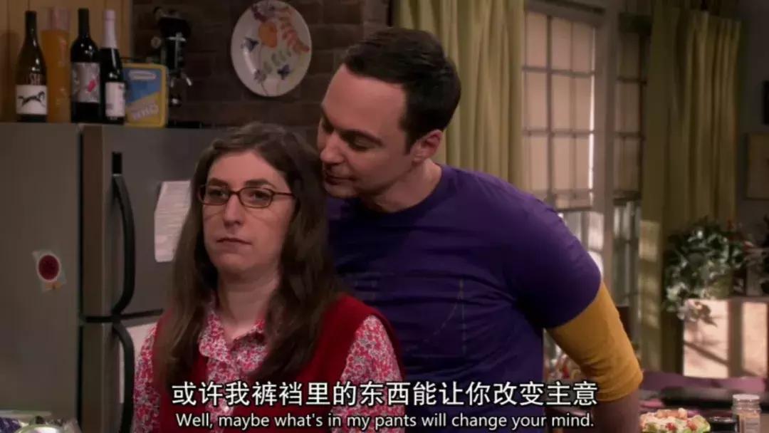 《生活大爆炸》大结局：我28岁，追了它整整9年，你呢？