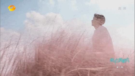 交响情人梦第一季日剧全集,交响情人梦电视剧全集完整版