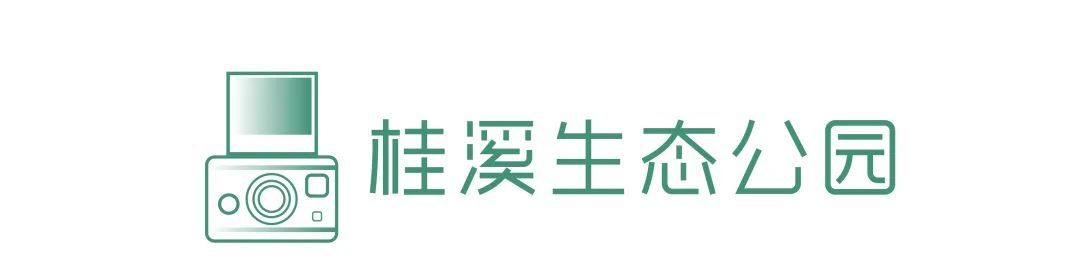 成都哪里的绿道最好,成都绿道最好的地方