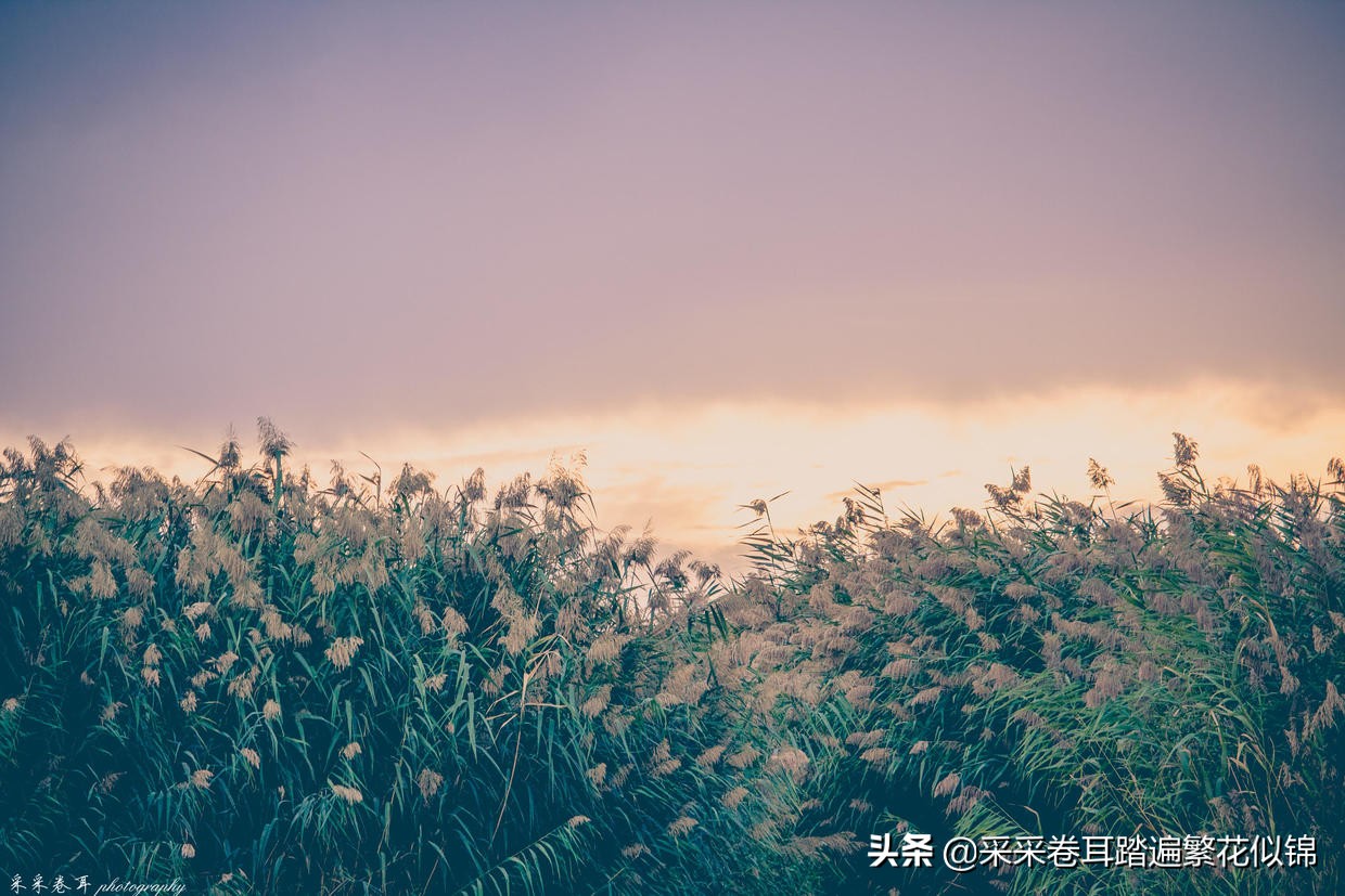 慢游景点,博斯腾湖景点打卡