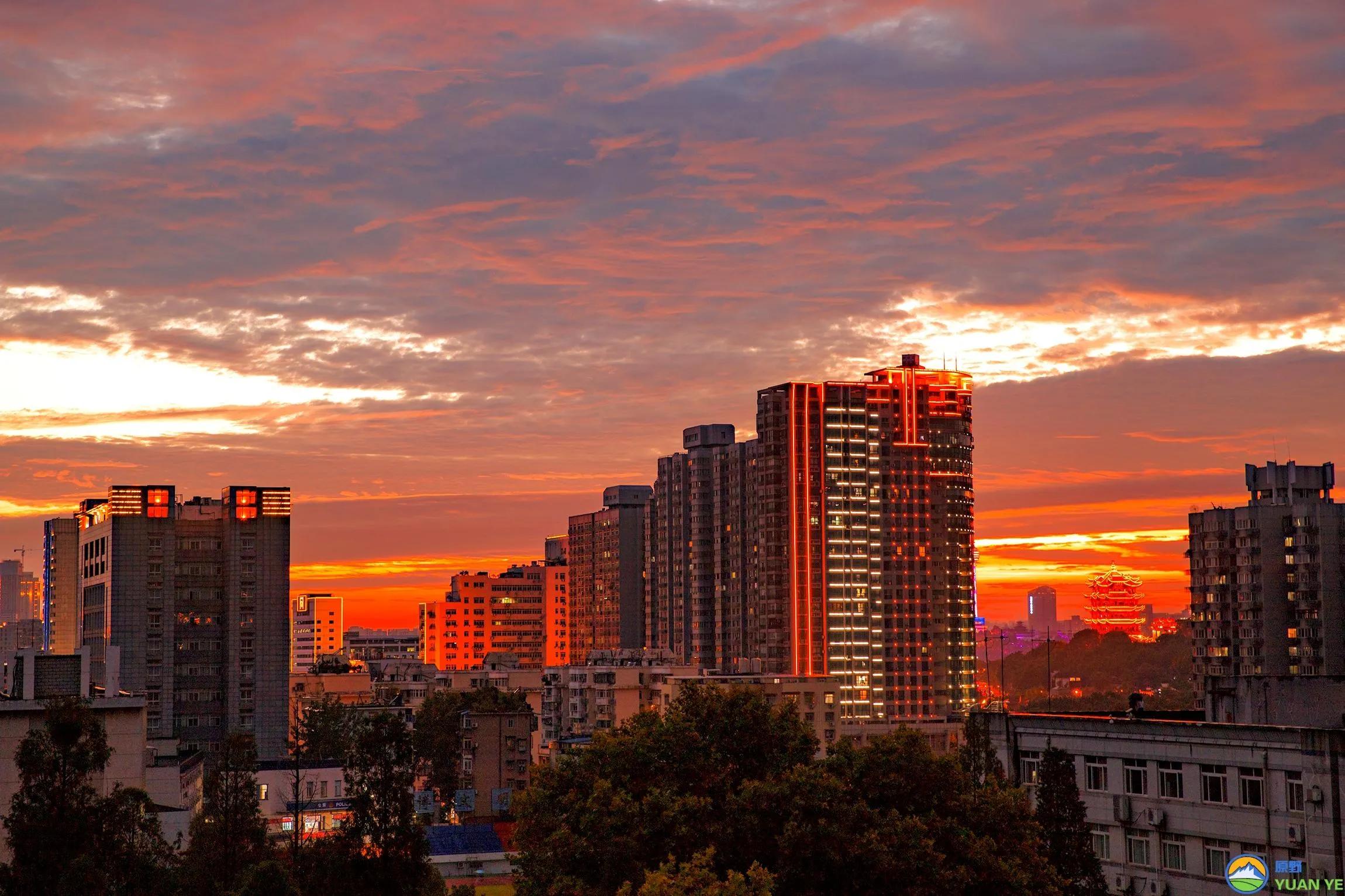 曲阜孔庙春节活动,曲阜孔庙景点介绍