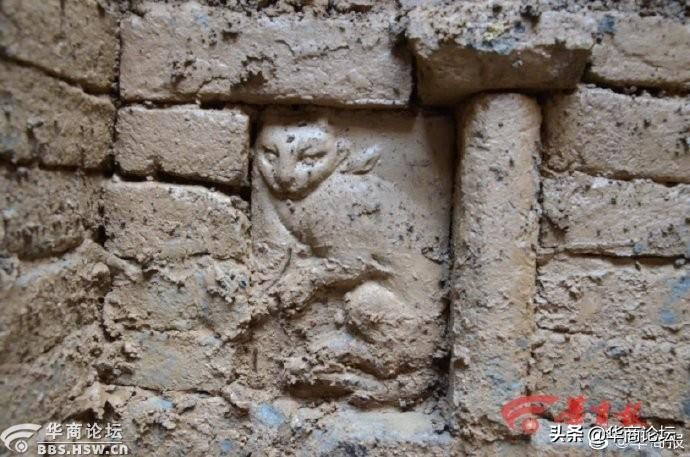 每日最陕西｜西安一男子颈部被医生抽出百余毫升腐臭脓液，致病原因竟如此常见！你平时注意过吗？