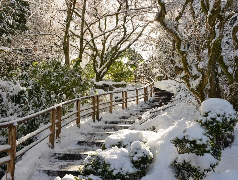 冬季世界冠军,世界冠军的辛酸