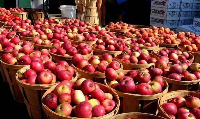 苹果滞销现在怎么样,苹果滞销现状及处理方案