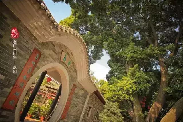 广州早茶看粤剧,老广州早茶听粤剧