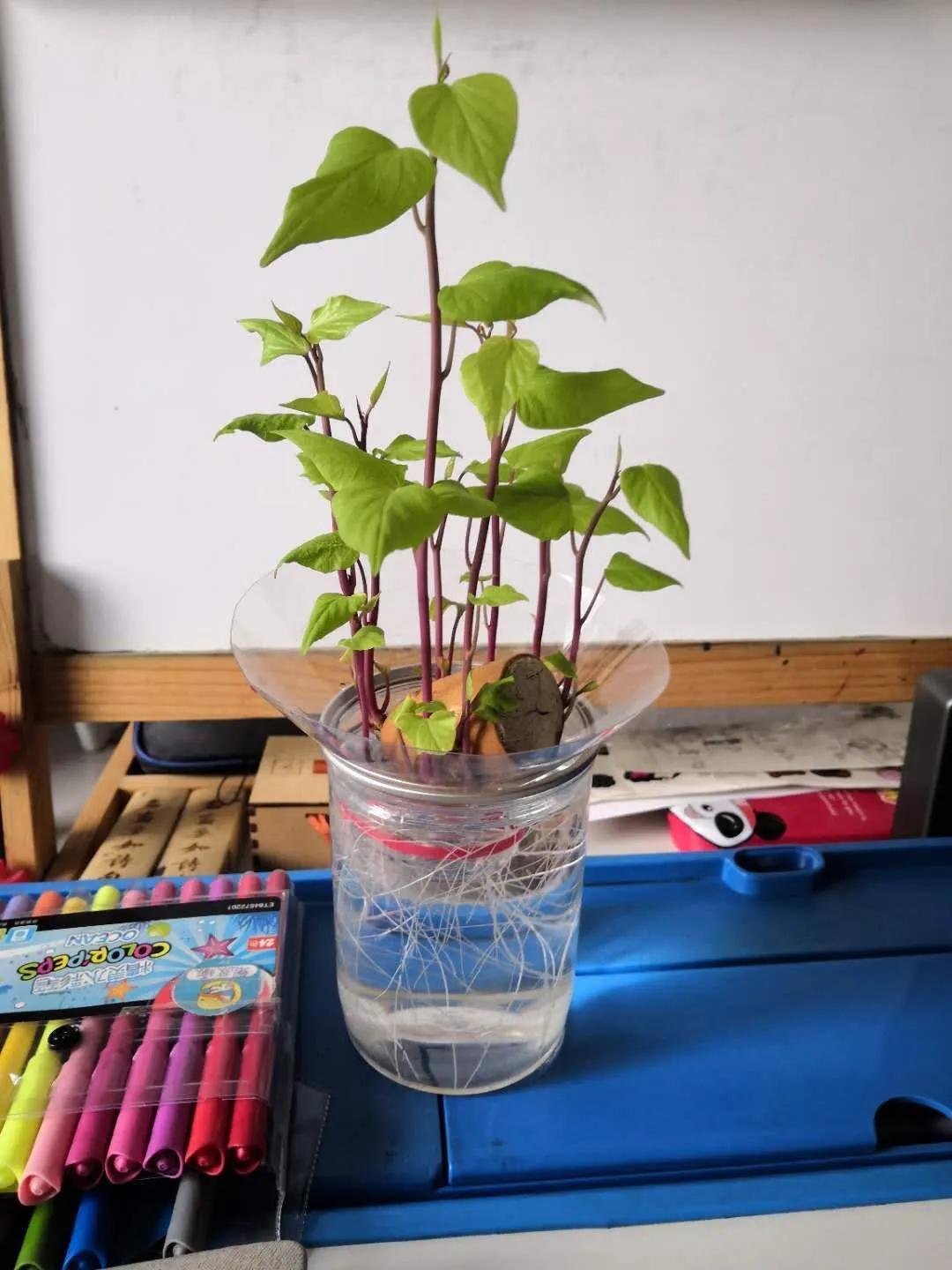 留学生的暑假生活,留学生暑期生活