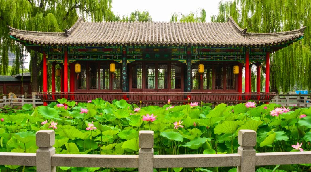 关于济南这座城,济南是一座什么之城