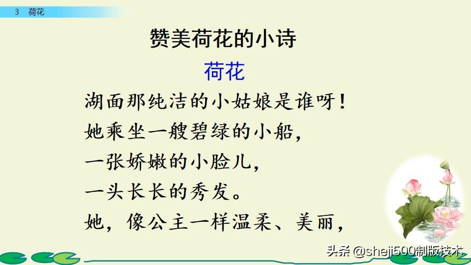 部编版三年级下册语文3荷花讲解,三年级下册部编语文荷花教学视频