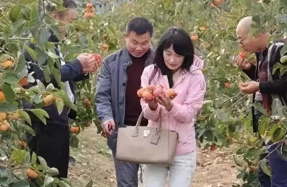 农产品营销10大策略,农产品社区社群营销案例