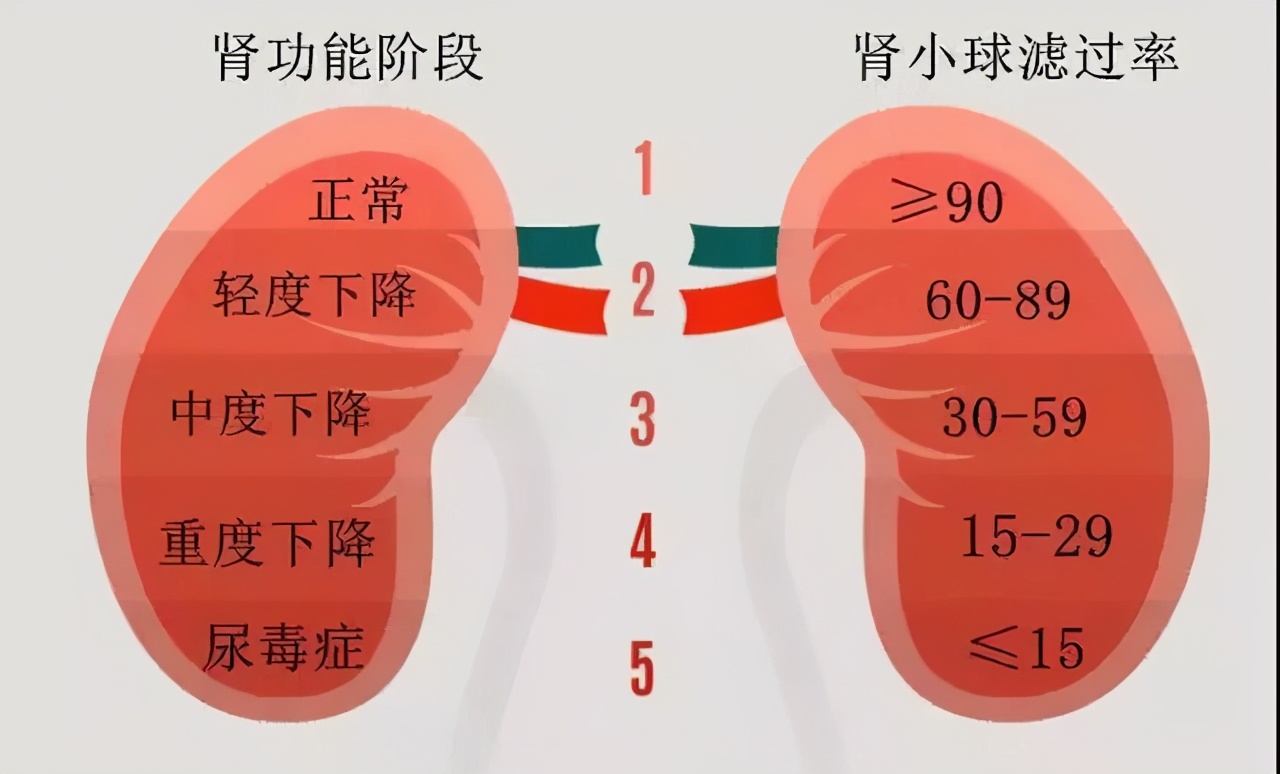 尿酸高急性肾衰竭,慢性肾衰竭尿酸高