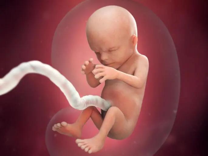 40岁胡杏儿孕照,胡杏儿7个月孕肚大片