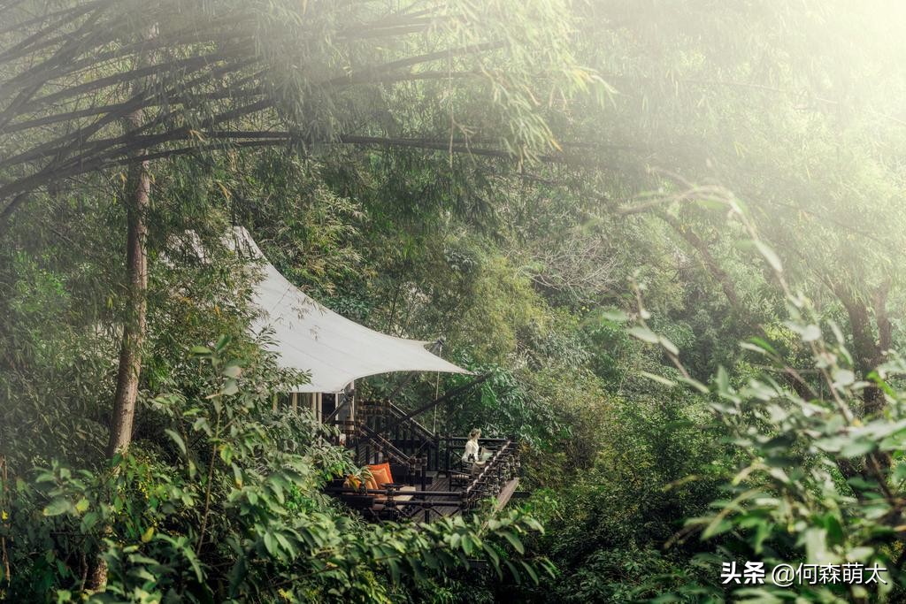 野奢帐篷酒店,轻奢帐篷酒店真实感受