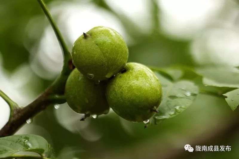 我叫成县，这是我2019年的自拍照~