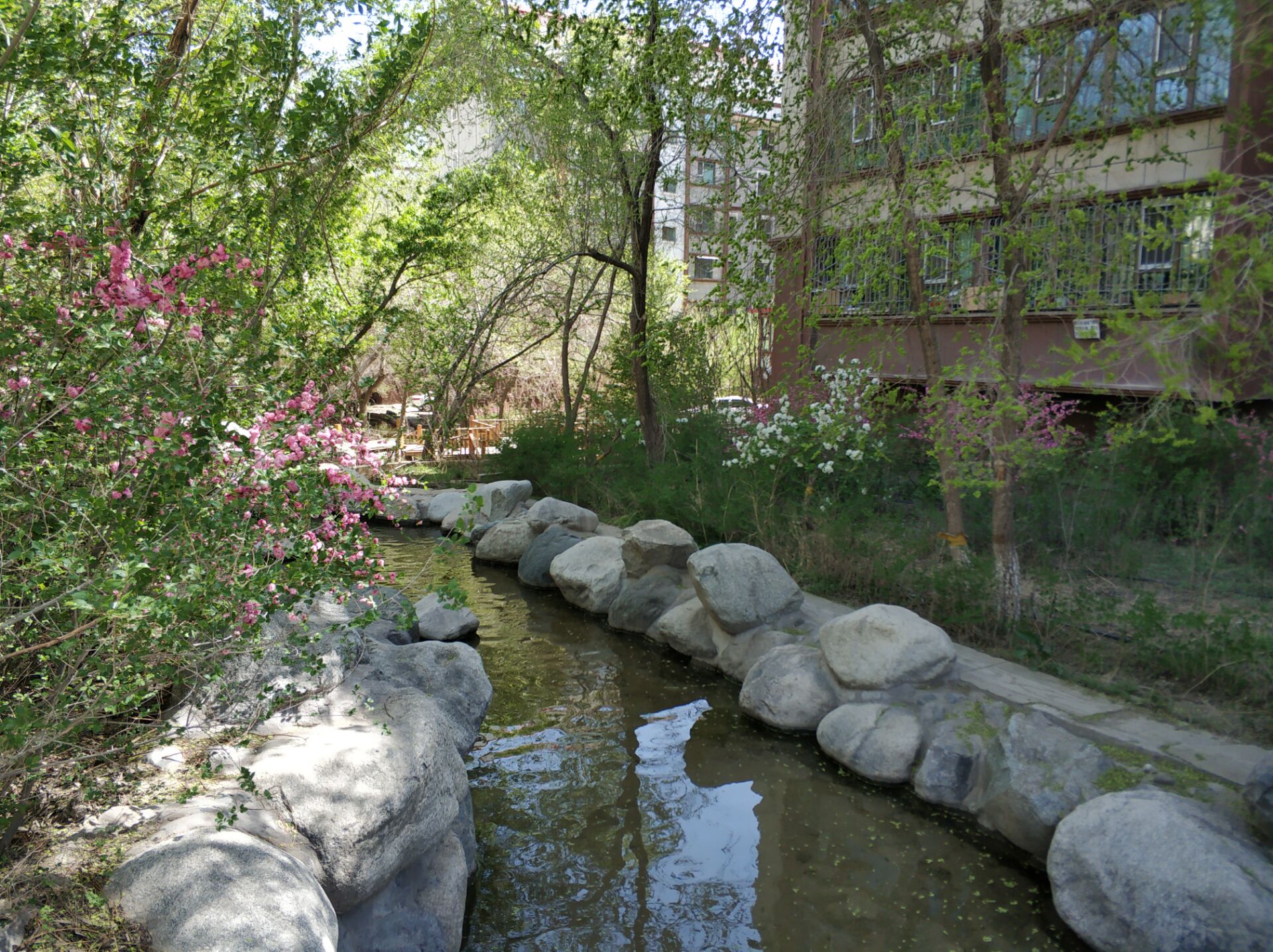 乌鲁木齐居然有这么漂亮的地方,乌鲁木齐周边森林公园在哪里