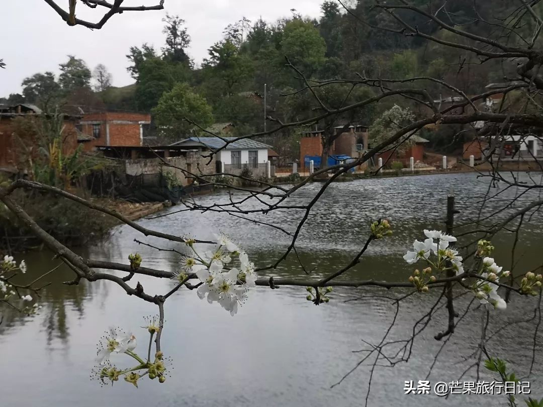 云南适合隐居的小山村,云南与世隔绝的花海
