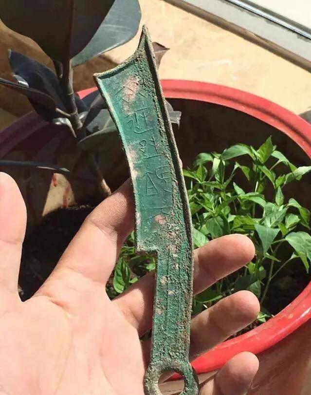 认识古币和纪念币,收藏古钱币的乐趣心得