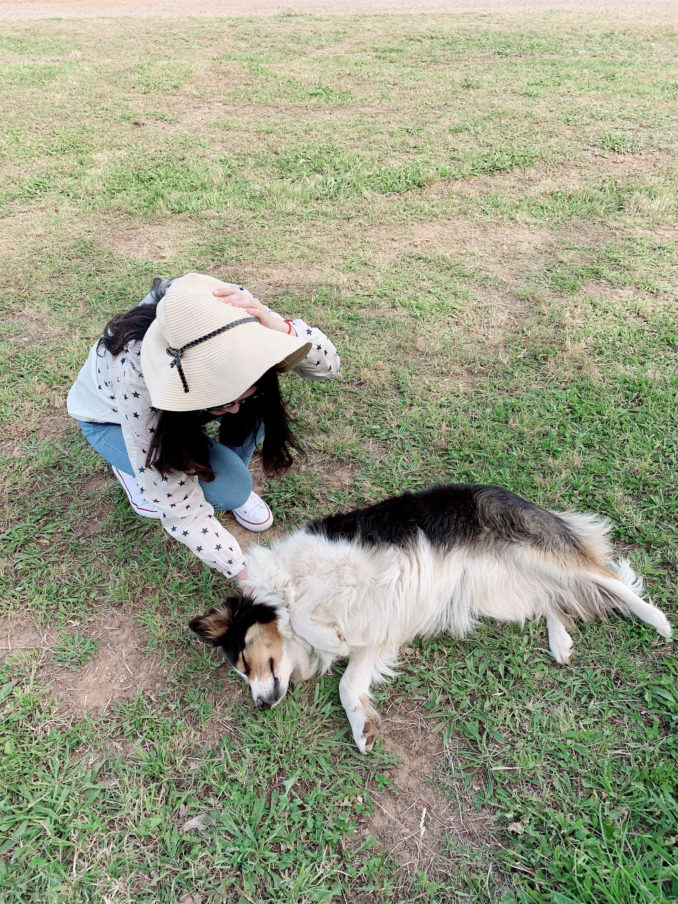 摘樱桃澳大利亚,澳洲采樱桃