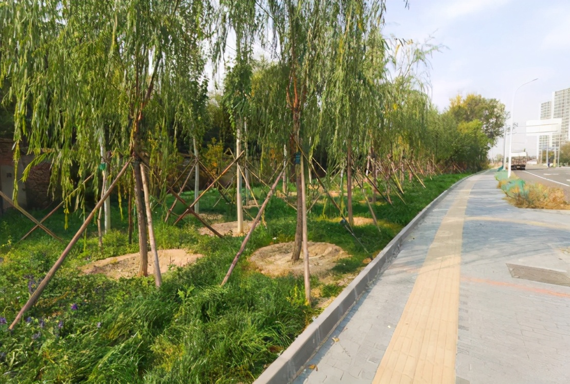 适合带娃玩的免费公园,遛娃的又一处打卡免费公园