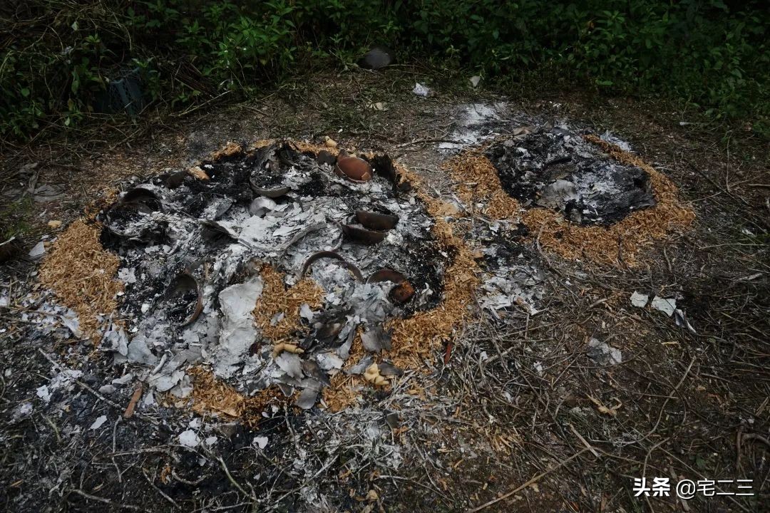 景德镇为什么吸引着年轻的艺术家,景德镇留住年轻人