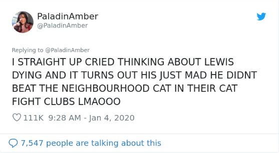 猫突然就不吃不喝死了,猫咪不吃不喝一直睡觉最后死了