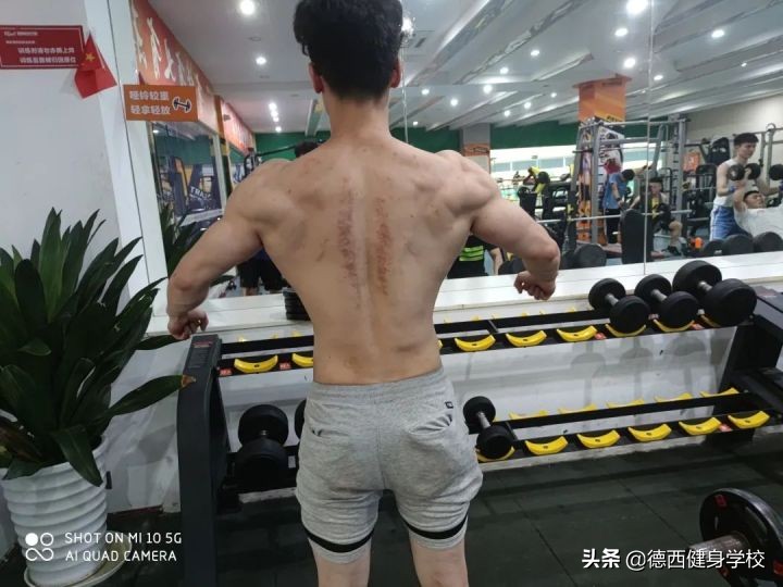 学习健身半年能学会什么,学习健身刚开始学什么