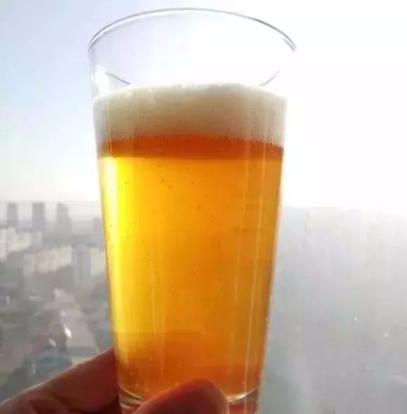 可以给花盆土里加营养液吗,盆里加点它养花10年不黄叶