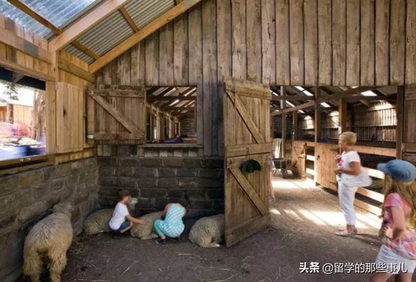 墨尔本亲子游旅游攻略大全,墨尔本亲子游攻略