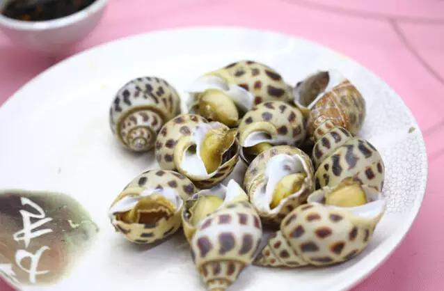 去湛江住特呈岛好还是住金沙湾好,今天湛江特呈岛风景区值得去吗