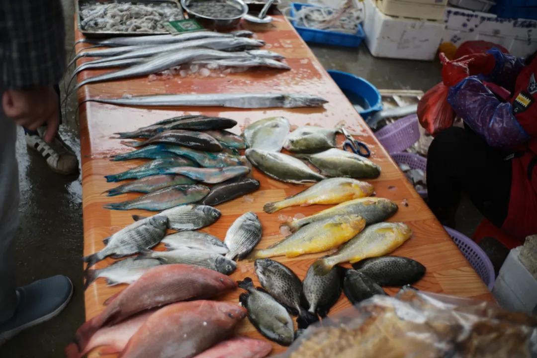 在海南岛最霸气的渔港码头,海南十大渔港码头