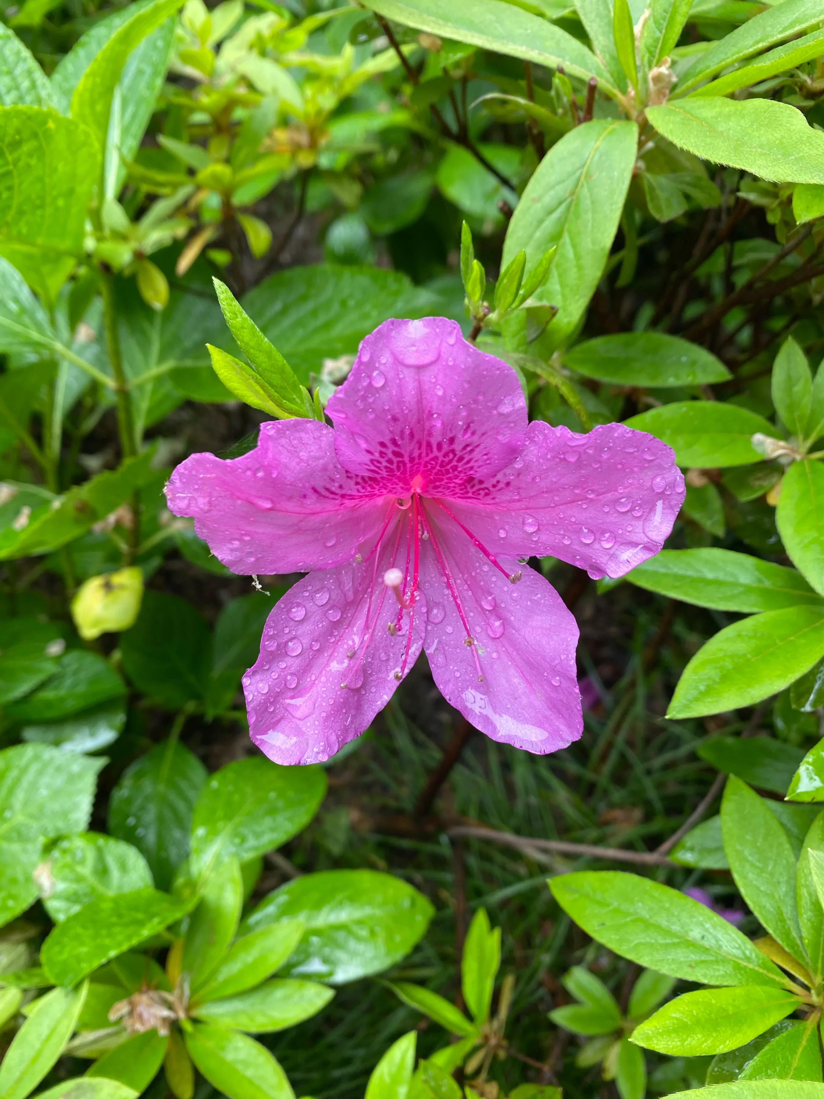 男朋友说他不想结婚怎么办,小男友不想结婚一直拖怎么办