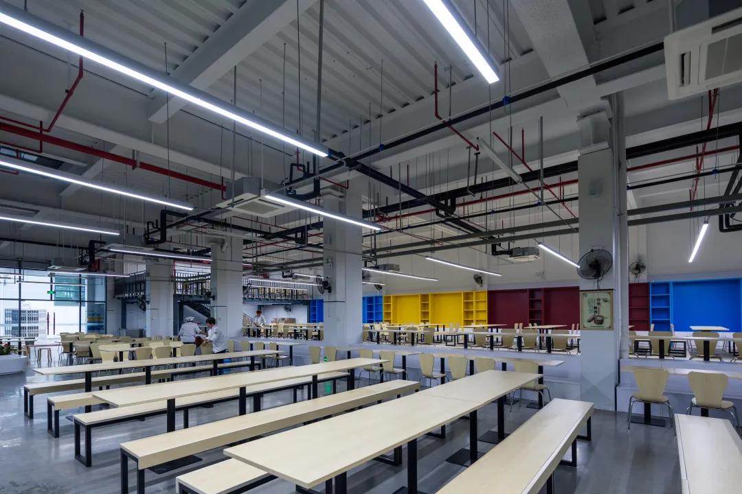 深圳建文外国语学校招生条件,深圳市建文外国语学校是否转公立