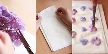 买手机送的透明壳,太难看?小姐姐教你做出最美“花壳”,收藏