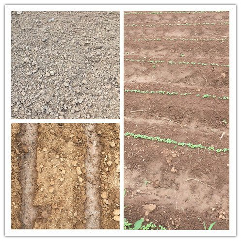 这篇文章，拯救啥都种不活、种啥都不长的新手们