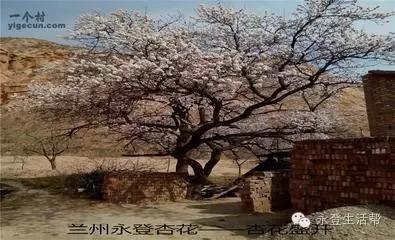 甘肃兰州最大的几个镇,兰州第一大县是哪个县