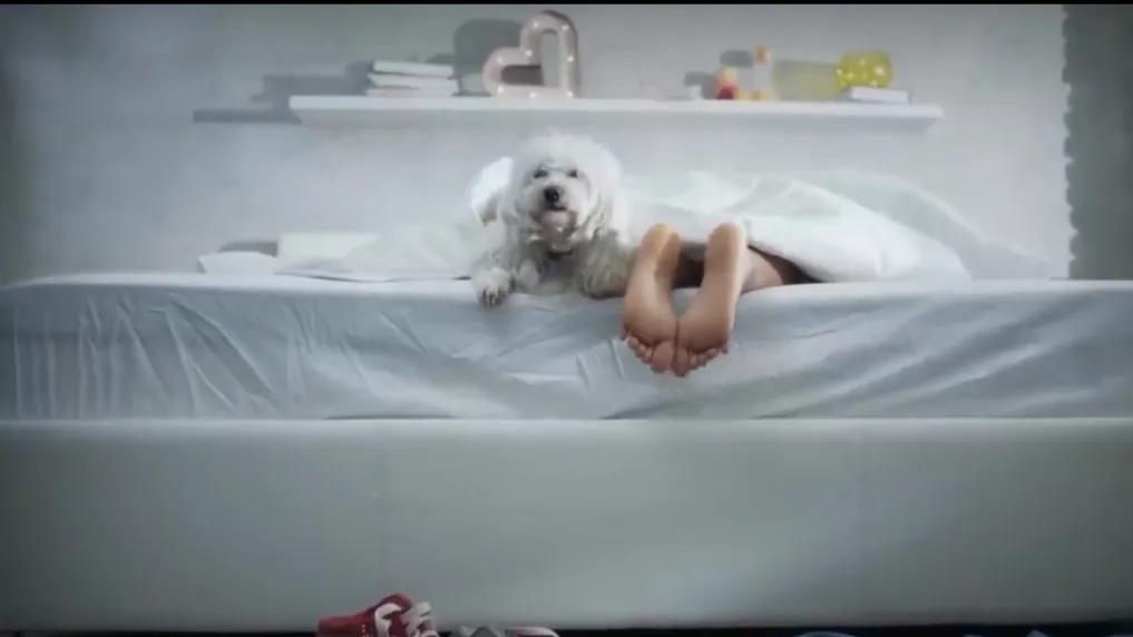 如果你躺在床上会发生什么,如果你在床上躺一天会怎样