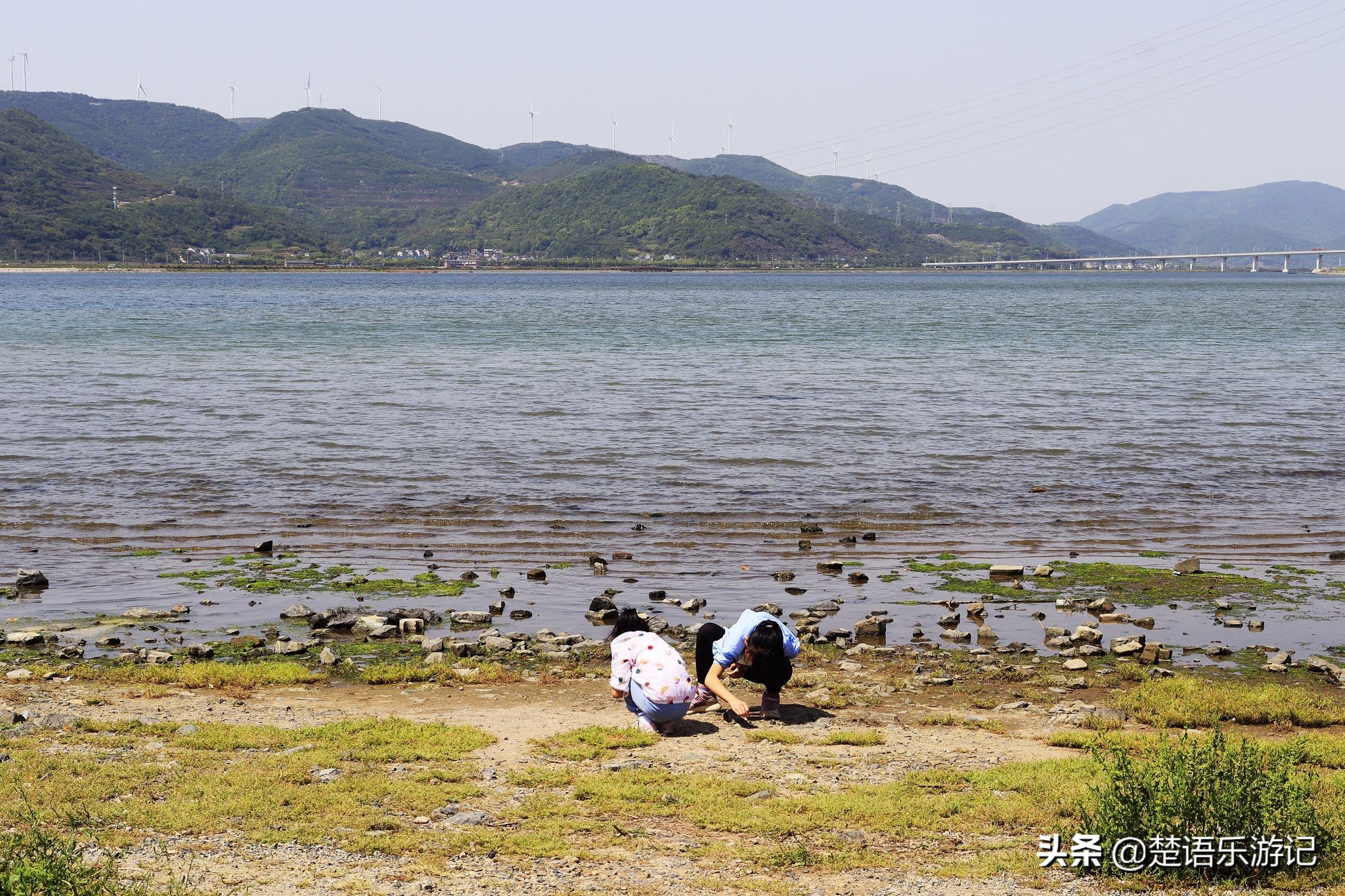 宁波大闸桥花海,宁波风景花海